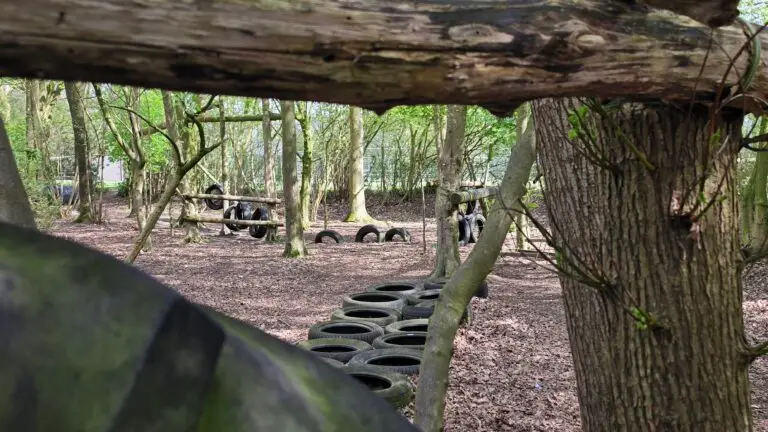 Natuurlijk spelen in het bos bij Gramsbergen